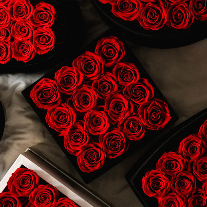 16 Red Roses - Black Velvet Eternity Roses Box