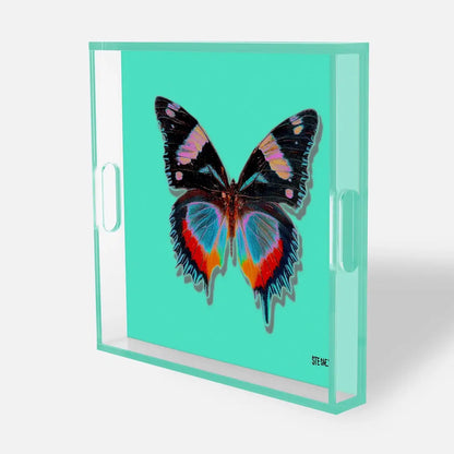Aqua - Monarch Acrylic Tray