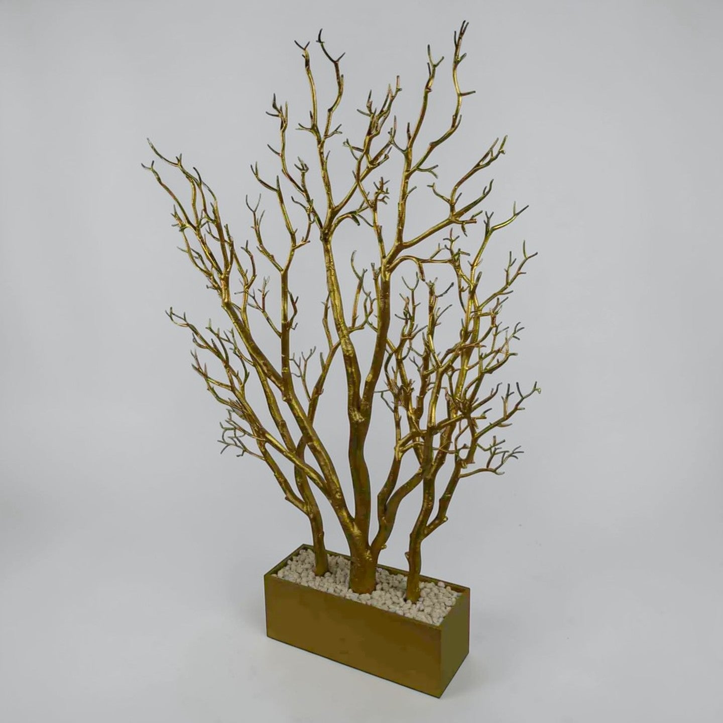 Gold Dormant Tree w/ Pot