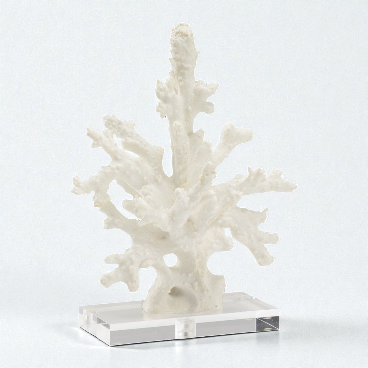 Coral Sculpture