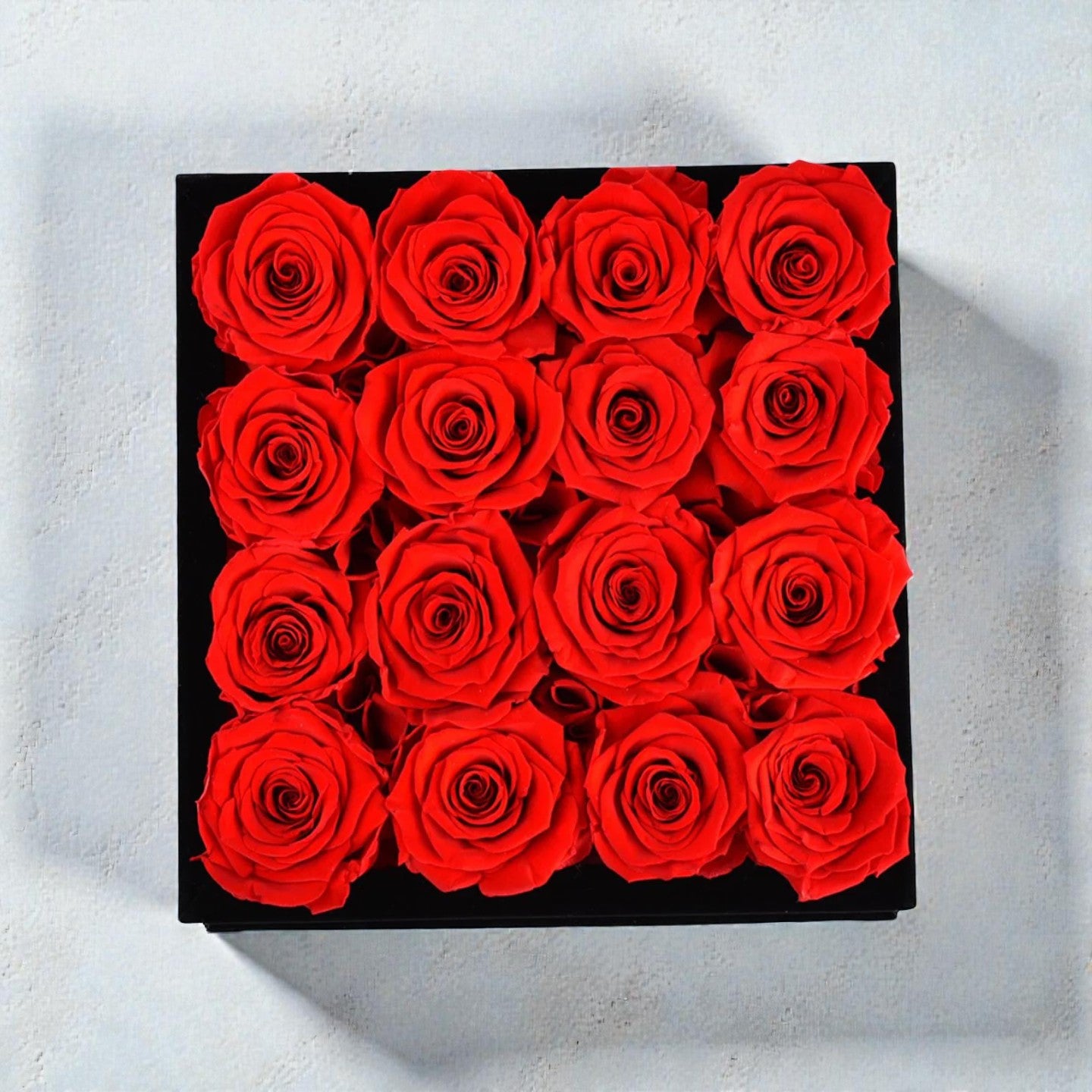 16 Red Roses - Black Velvet Eternity Roses Box