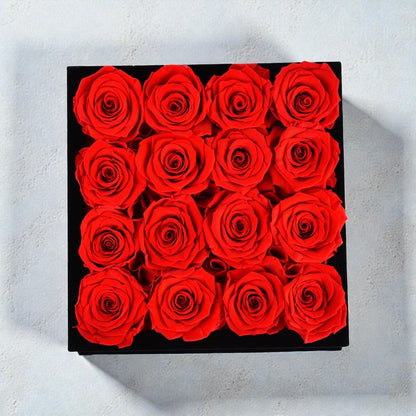 16 Red Roses - Black Velvet Eternity Roses Box