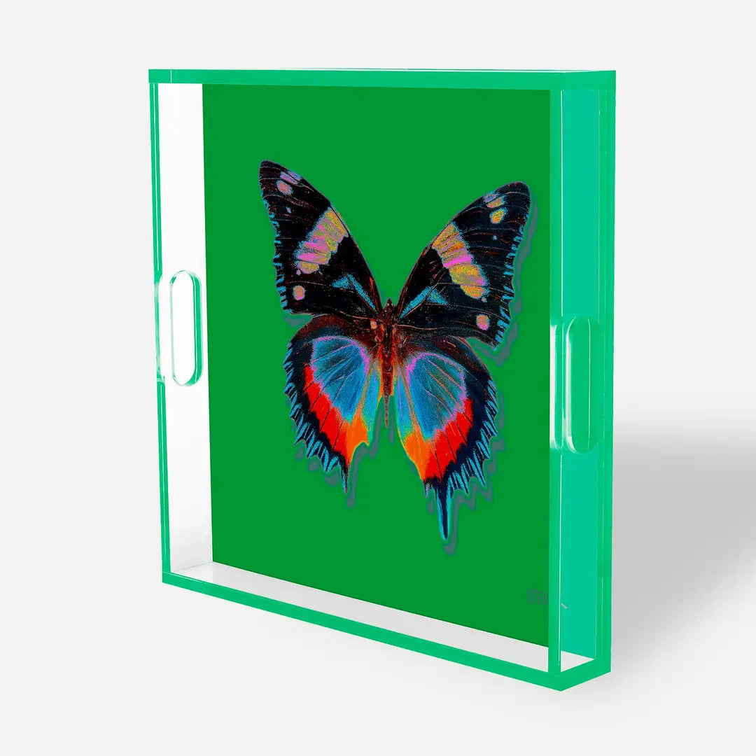 Green - Monarch Acrylic Tray
