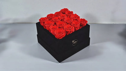 16 Red Roses - Black Velvet Eternity Roses Box