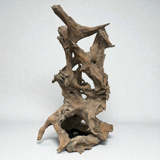 Driftwood Sculpture